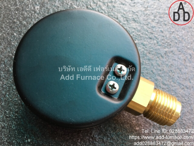 Dungs Pressure Gauge:0~600mbar (7)